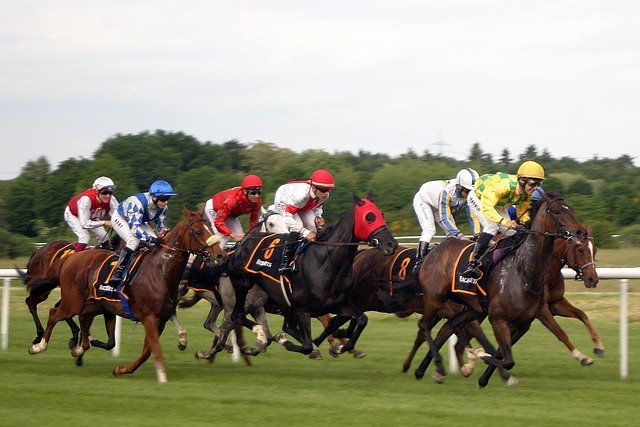 Horse Race Handicapping – Picking Longshots